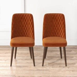 Currency Dining Chair Set of 2 Pees for Living Room - Orange