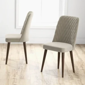 Ony Dining Chair (Set of 2)