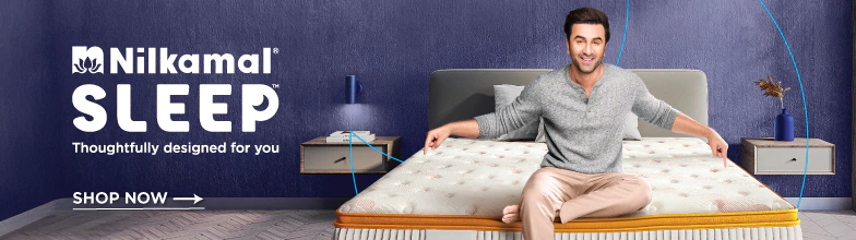 Sofa Cum Bed