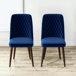 RM Home Currency Dining Chair Set of 2