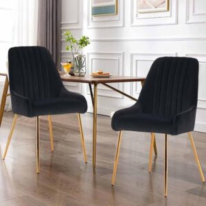 RM HOME Zara Velvet Dining Chairs (Set of 2)