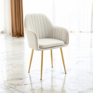 RM HOME Neelka Dining Chair