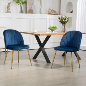 Bota Dining Chair (Set of 2) - Blue
