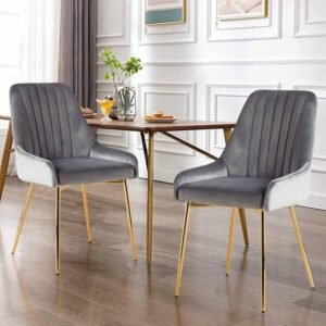 Zara Velvet Dining Chairs (Set of 2) - Gray
