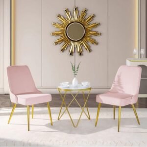 Umme Dining Chair (Set of 2) - pink