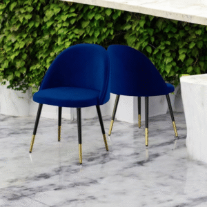 Dina Dining Chair (Set of 2) - Blue