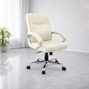 Farera Ergonomic Mid-Back Executive Office Chair