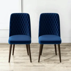 Ony Dining Chairs Set of 2 – Modern Elegance for Your Dining Space | RM Home